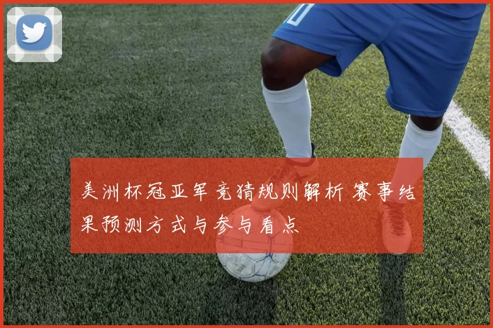 美洲杯冠亚军竞猜规则解析 赛事结果预测方式与参与看点