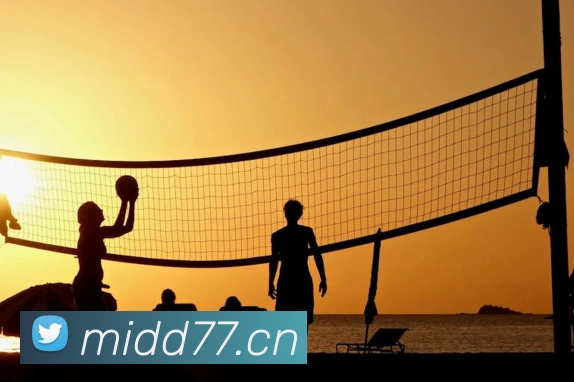 mksports网站平台生态图